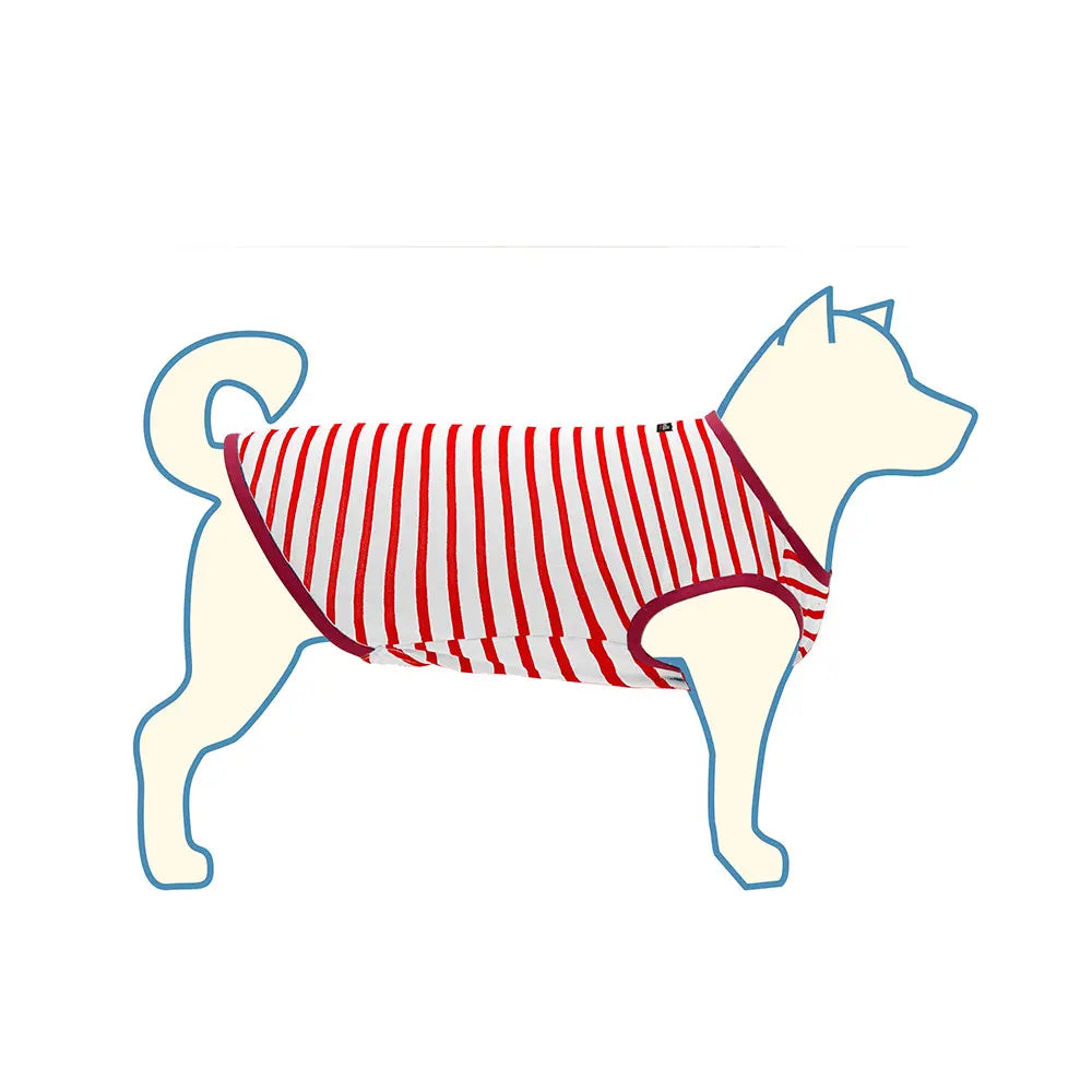mont-bell: Wickron Dog Shirt Small