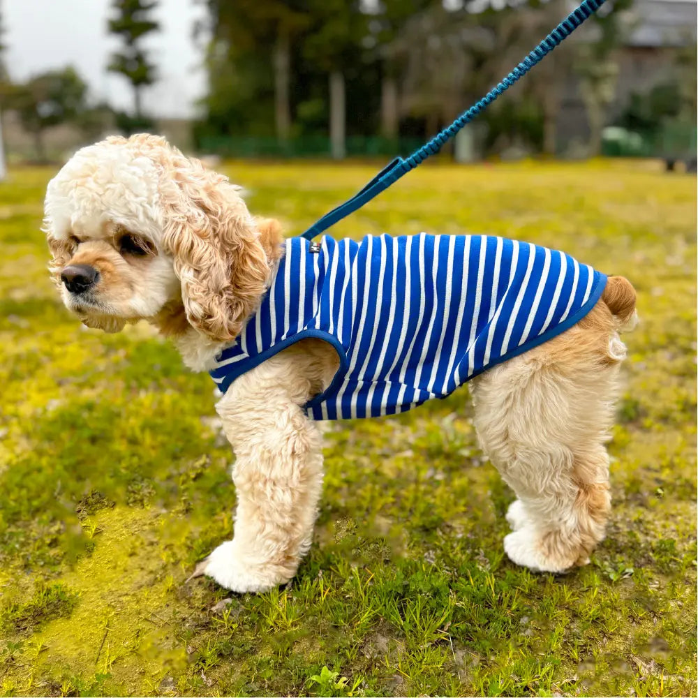 mont-bell: Wickron Dog Shirt Small