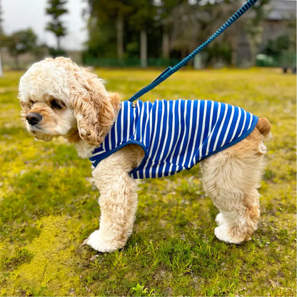 mont-bell: Wickron Dog Shirt Large