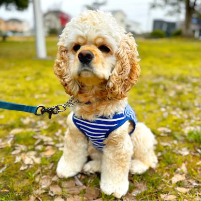 mont-bell: Wickron Dog Shirt Large