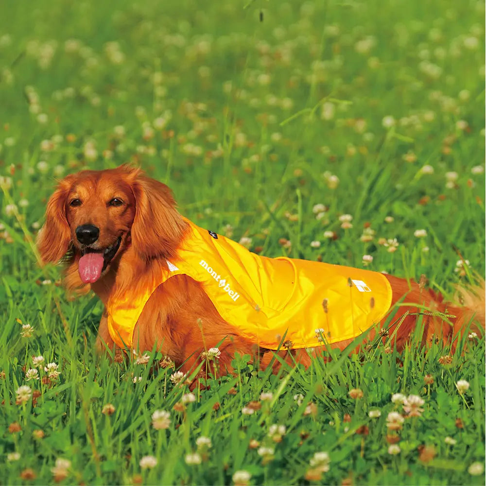 mont-bell: Dog Rain Poncho Large