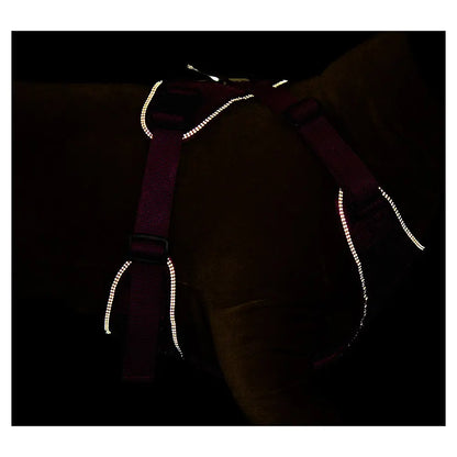 mont-bell: Mesh Dog Harness L
