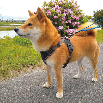 mont-bell: Mesh Dog Harness L