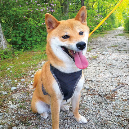 mont-bell: Mesh Dog Harness L