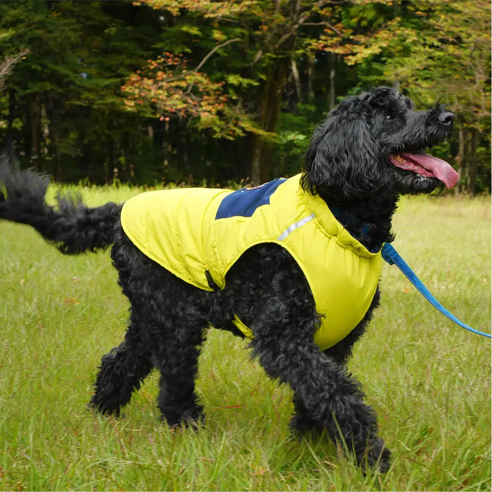 mont-bell: Dog Thermawrap Vest Large