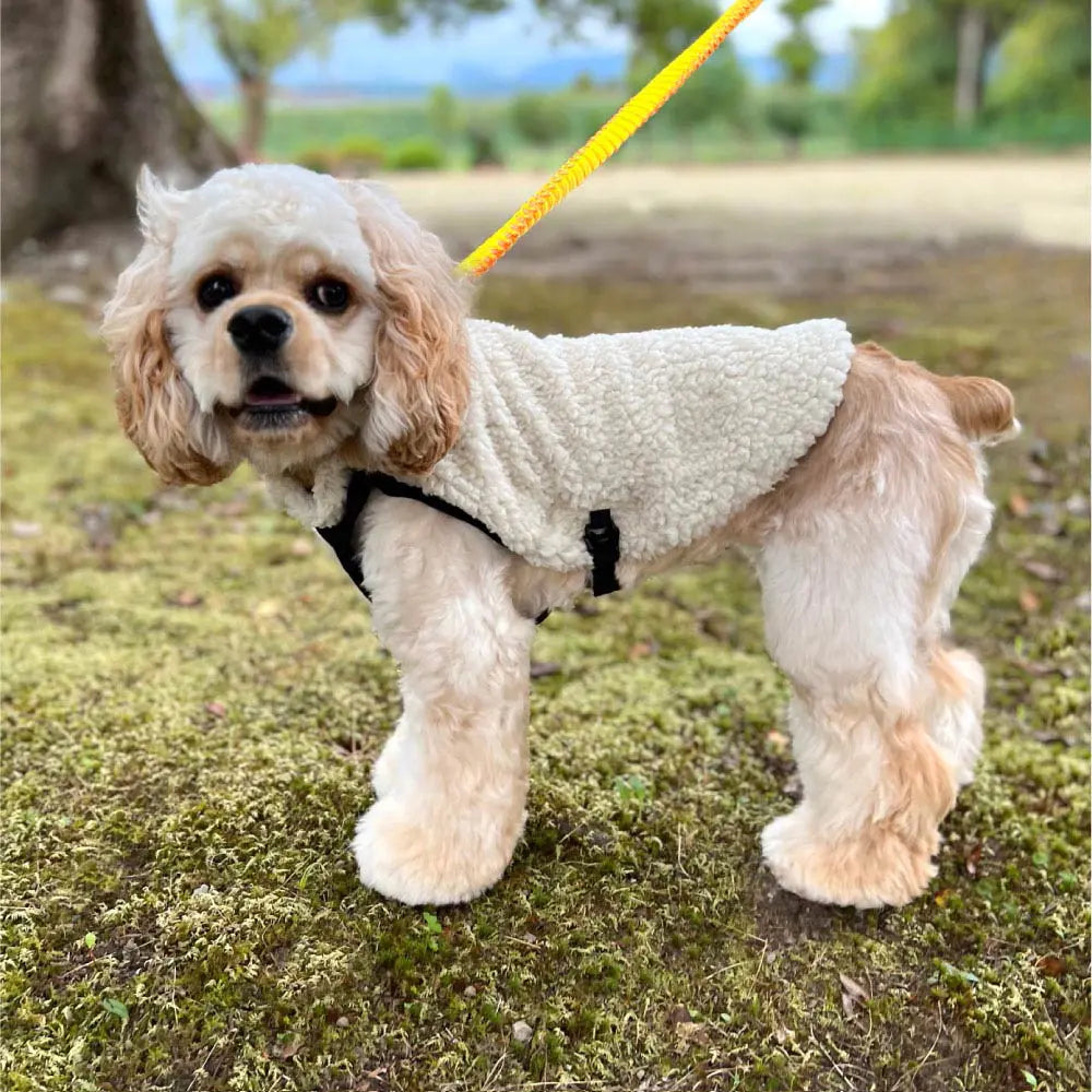 mont-bell: Dog Shearling Vest Small