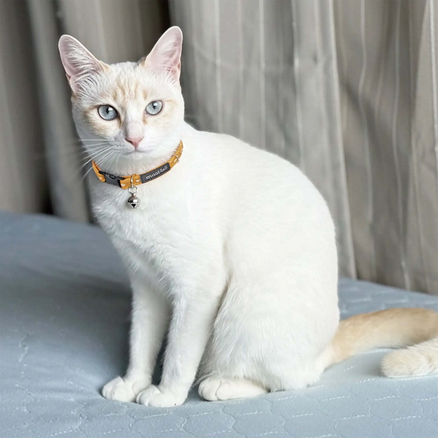 mont-bell: Cat Collar