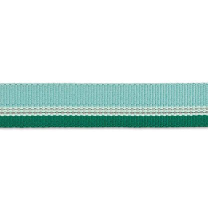 RUFFWEAR: Chain Reaction Collar
