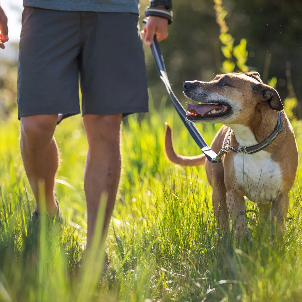 RUFFWEAR: Chain Reaction Collar