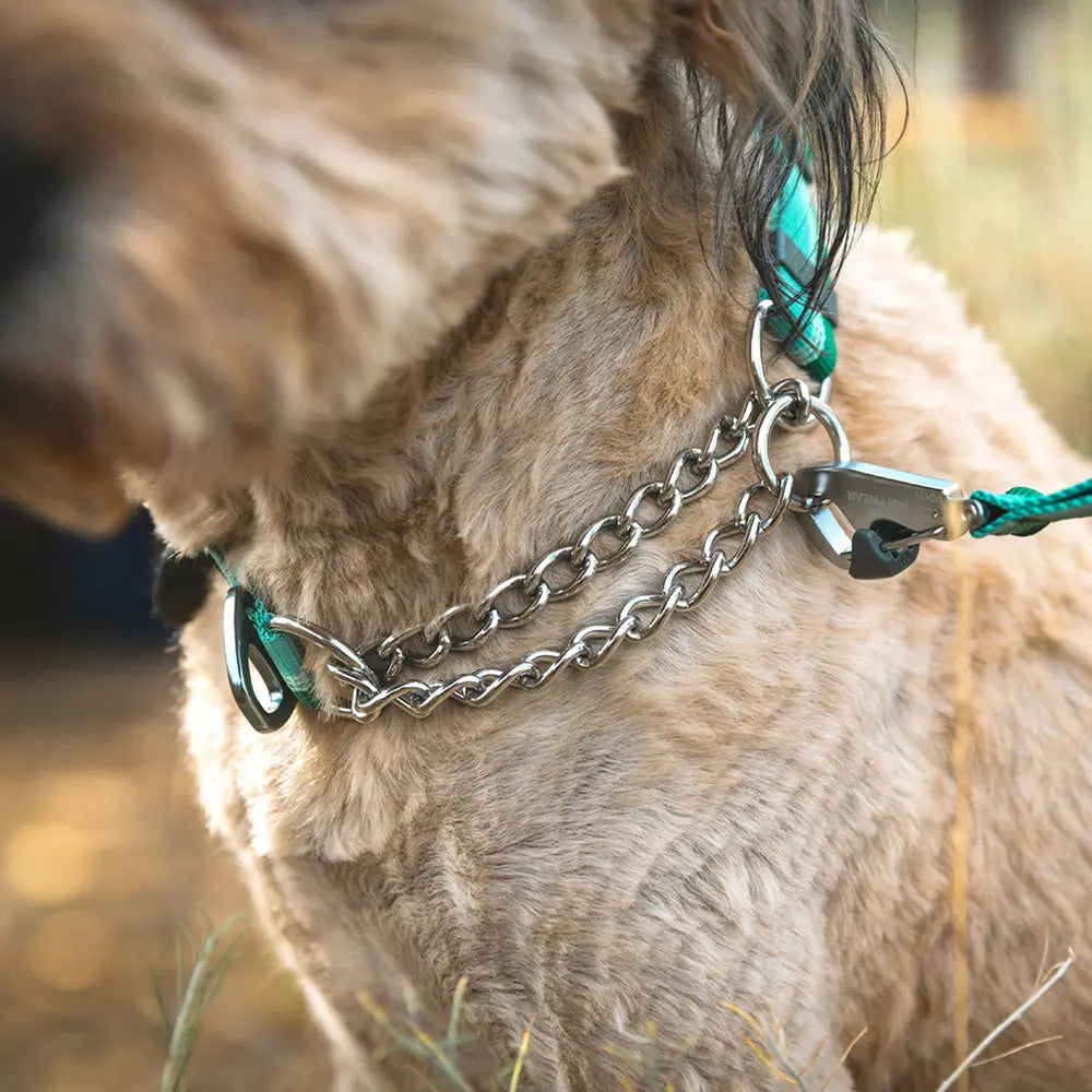 RUFFWEAR: Chain Reaction Collar