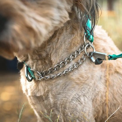 RUFFWEAR: Chain Reaction Collar